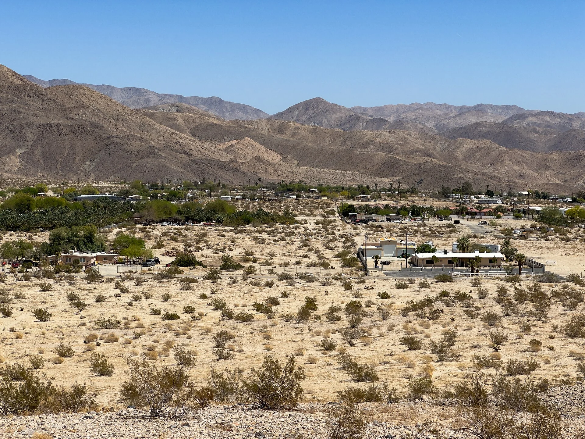 Indio Hills Palms
