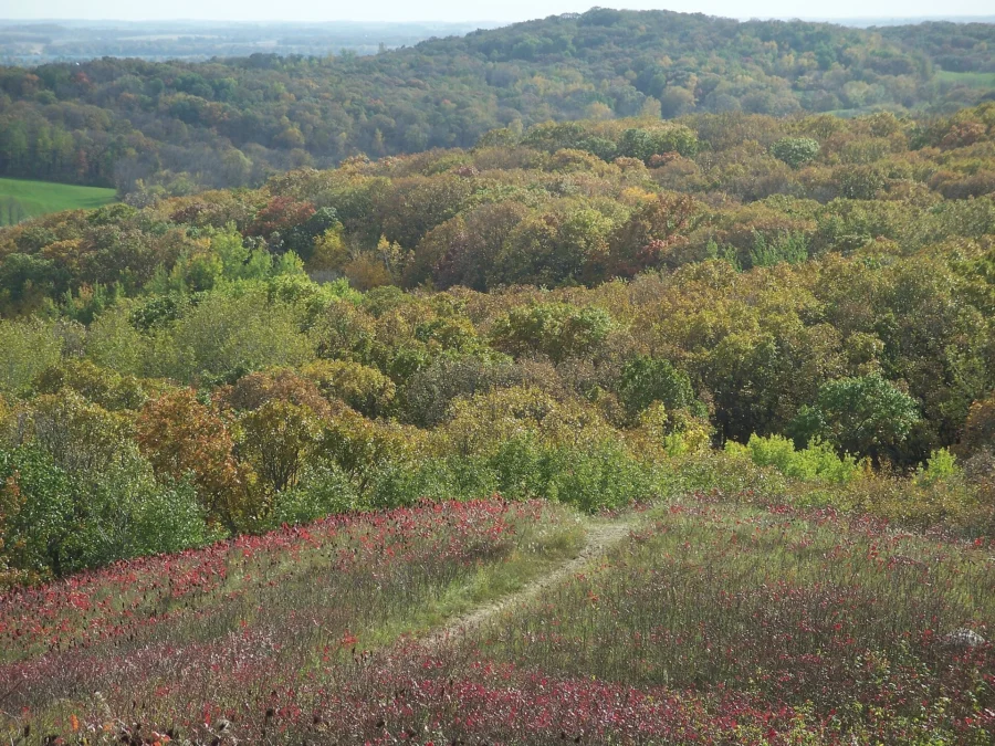 Inspiration Peak State Wayside (Minnesota)