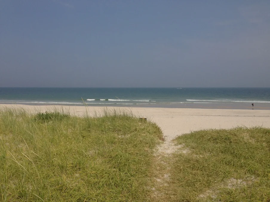 Path through dune grass to the Atlantic beach at Island Beach State Park, New Jersey