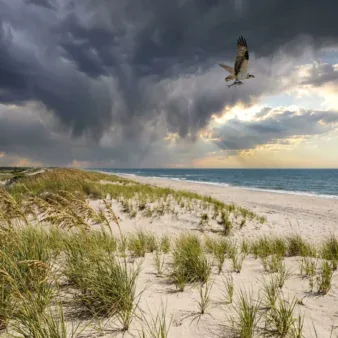 Island Beach State Park