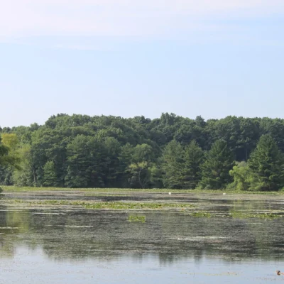 Island Lake State Recreation Area