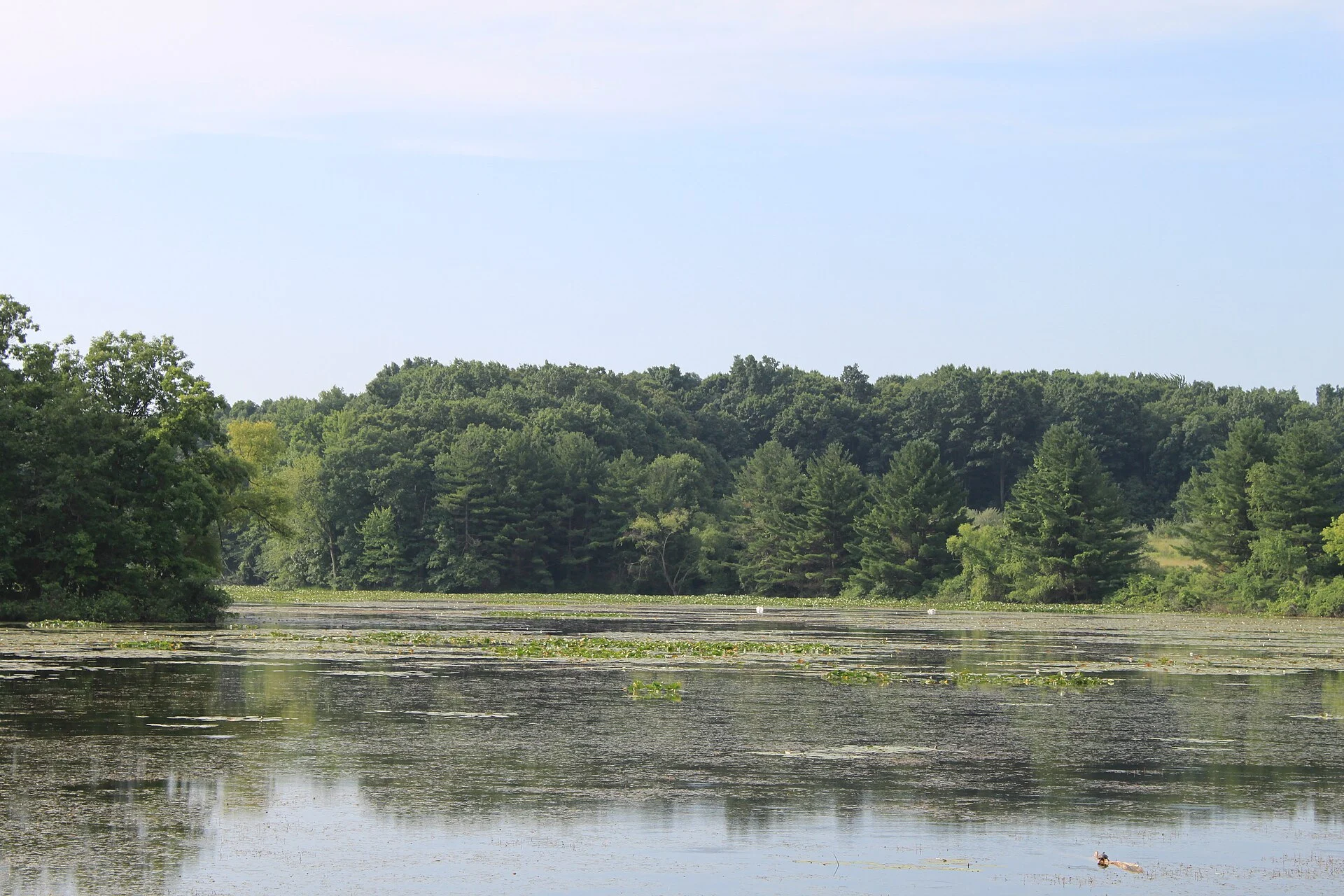 Island Lake State Recreation Area