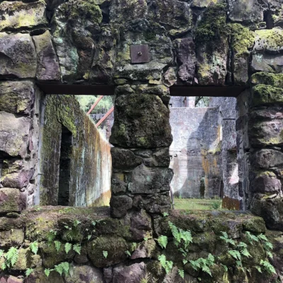 Jack London State Historic Park