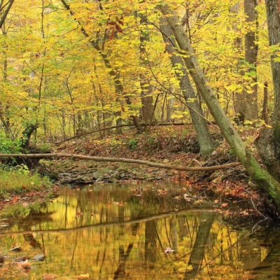 Jacobsburg Environmental Education Center