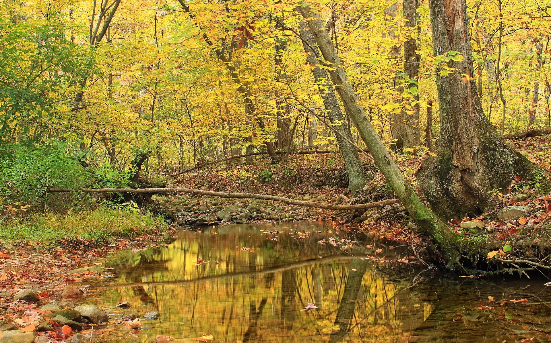 Jacobsburg Environmental Education Center