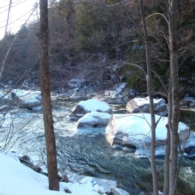Jamaica State Park