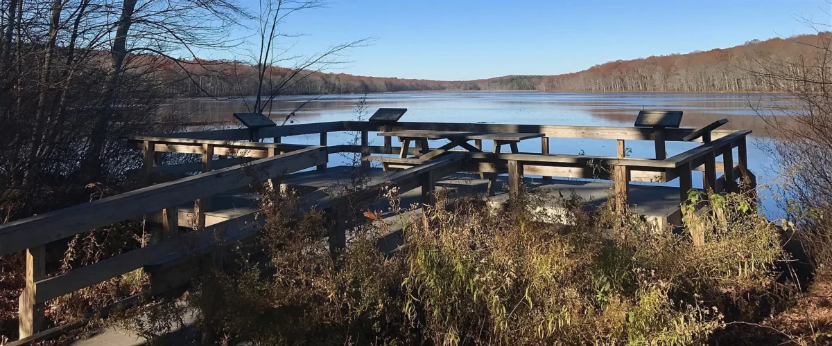 James L. Goodwin State Forest (Connecticut)
