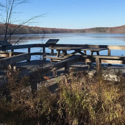 James L. Goodwin State Forest