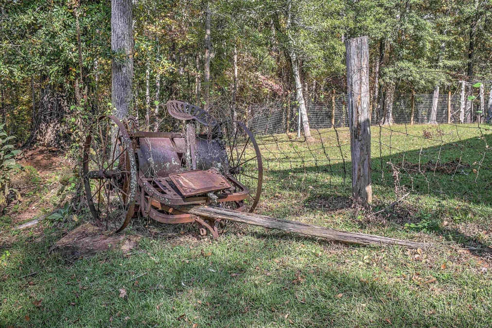 Jarrell Plantation State Historic Site (Georgia)