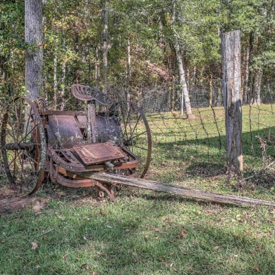 Jarrell Plantation State Historic Site