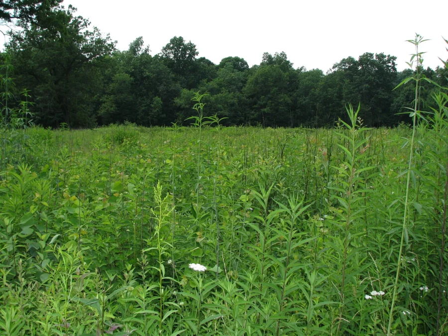 Jennings Environmental Education Center (Pennsylvania)