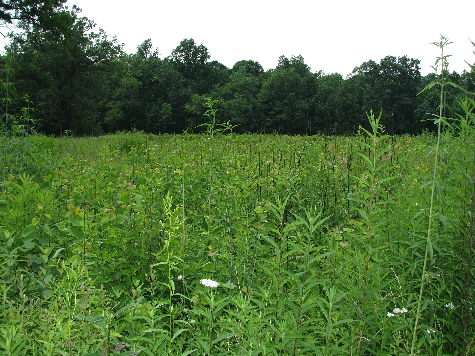 Jennings Environmental Education Center