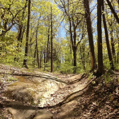 Jenny Jump State Forest