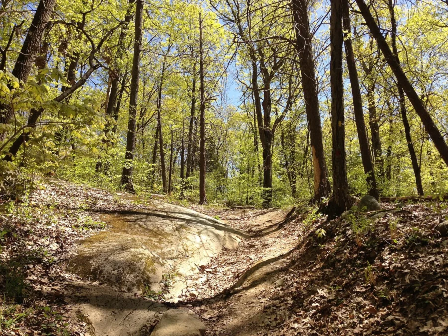 Jenny Jump State Forest (New Jersey)