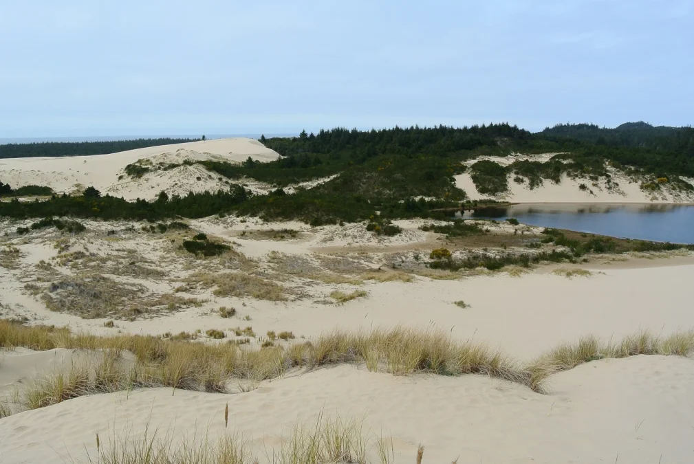 Jessie M. Honeyman Memorial State Park (Oregon)