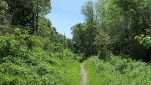 John H. Chafee Nature Preserve