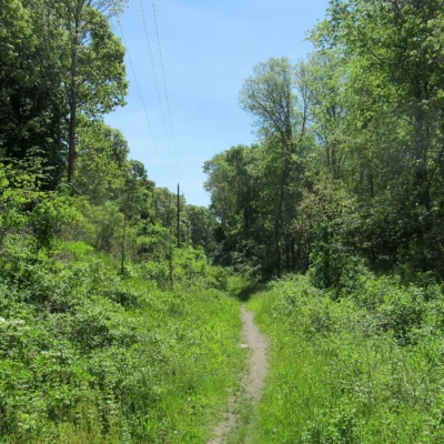 John H. Chafee Nature Preserve