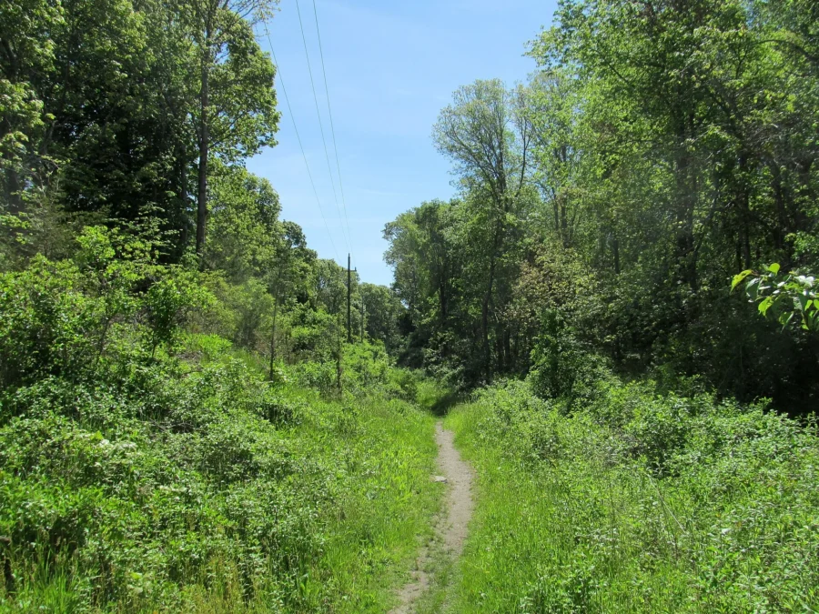 John H. Chafee Nature Preserve (Rhode-Island)