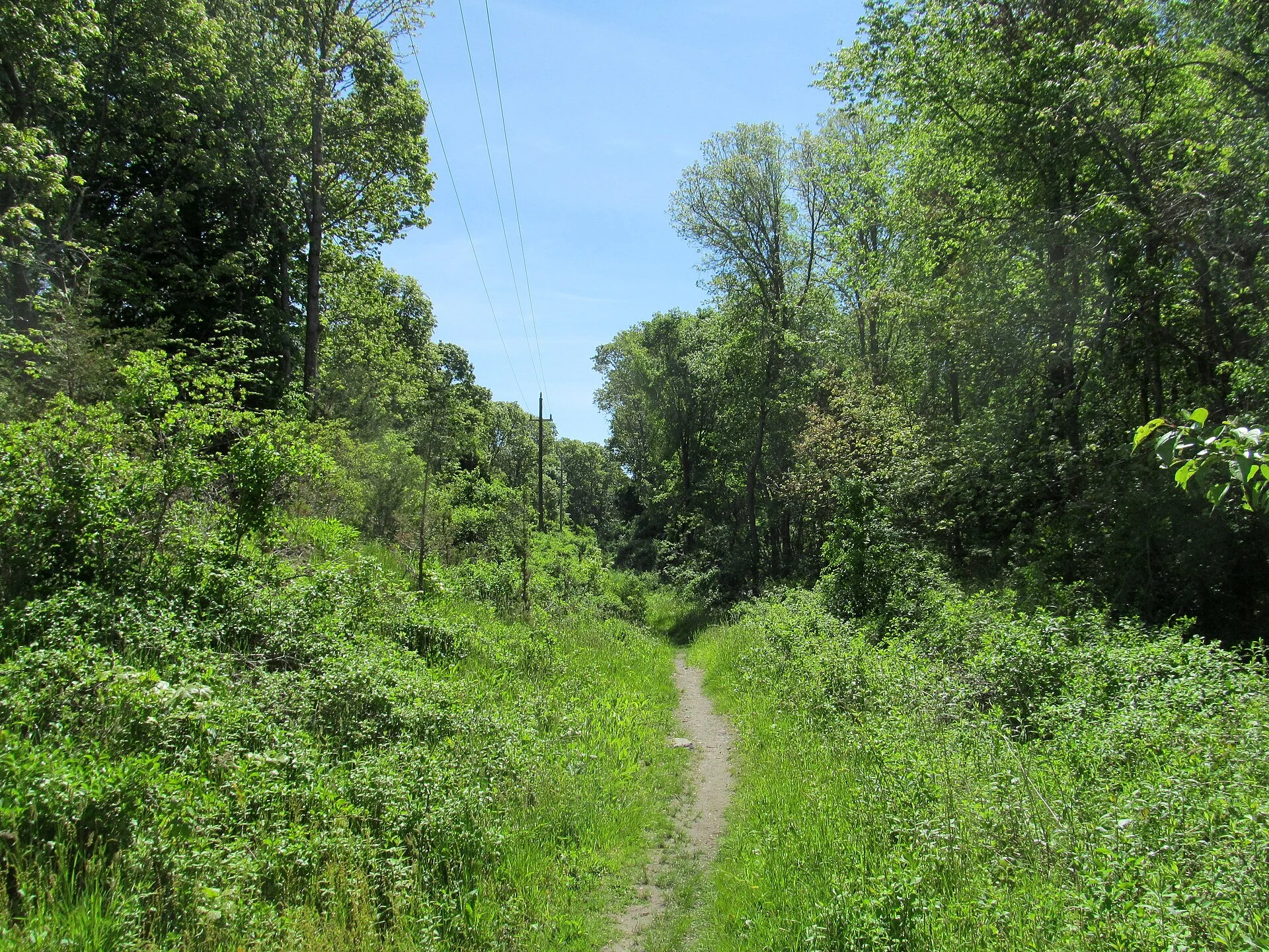 John H. Chafee Nature Preserve