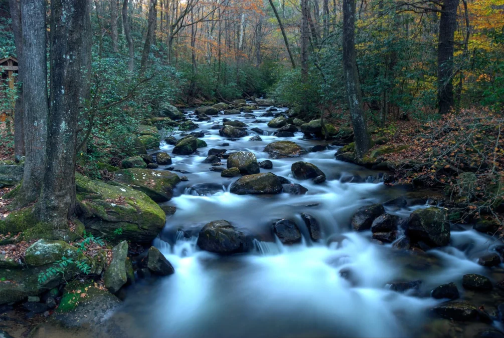 Jones Gap State Park (South Carolina)