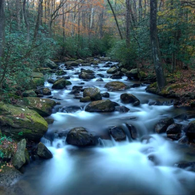 Jones Gap State Park