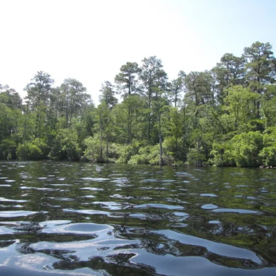 Jones Lake State Park