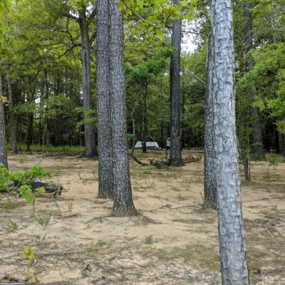 Jordan Lake State Recreation Area