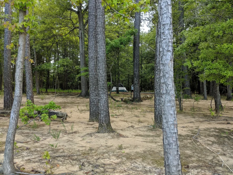 Jordan Lake State Recreation Area (North Carolina)