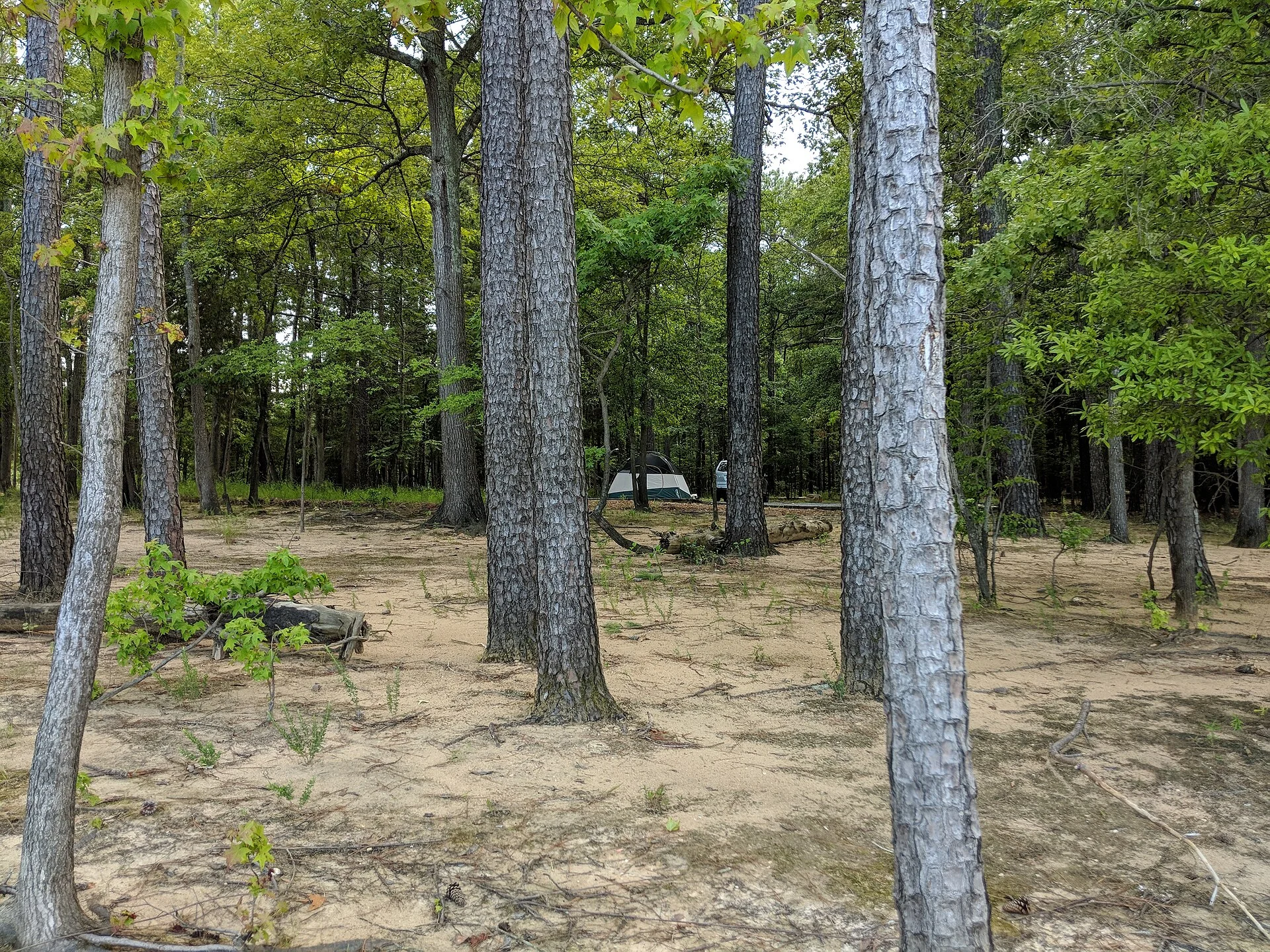 Jordan Lake State Recreation Area
