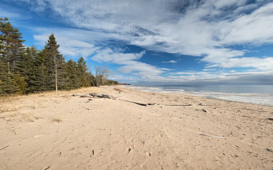 J.W. Wells State Park (Michigan)