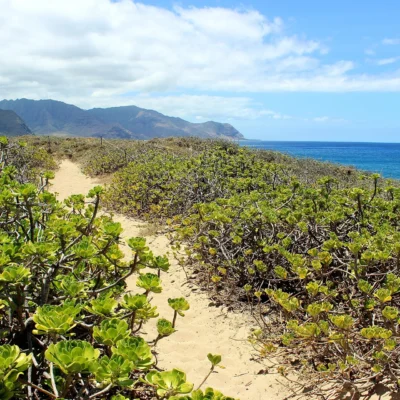 Kaʻena Point State Park