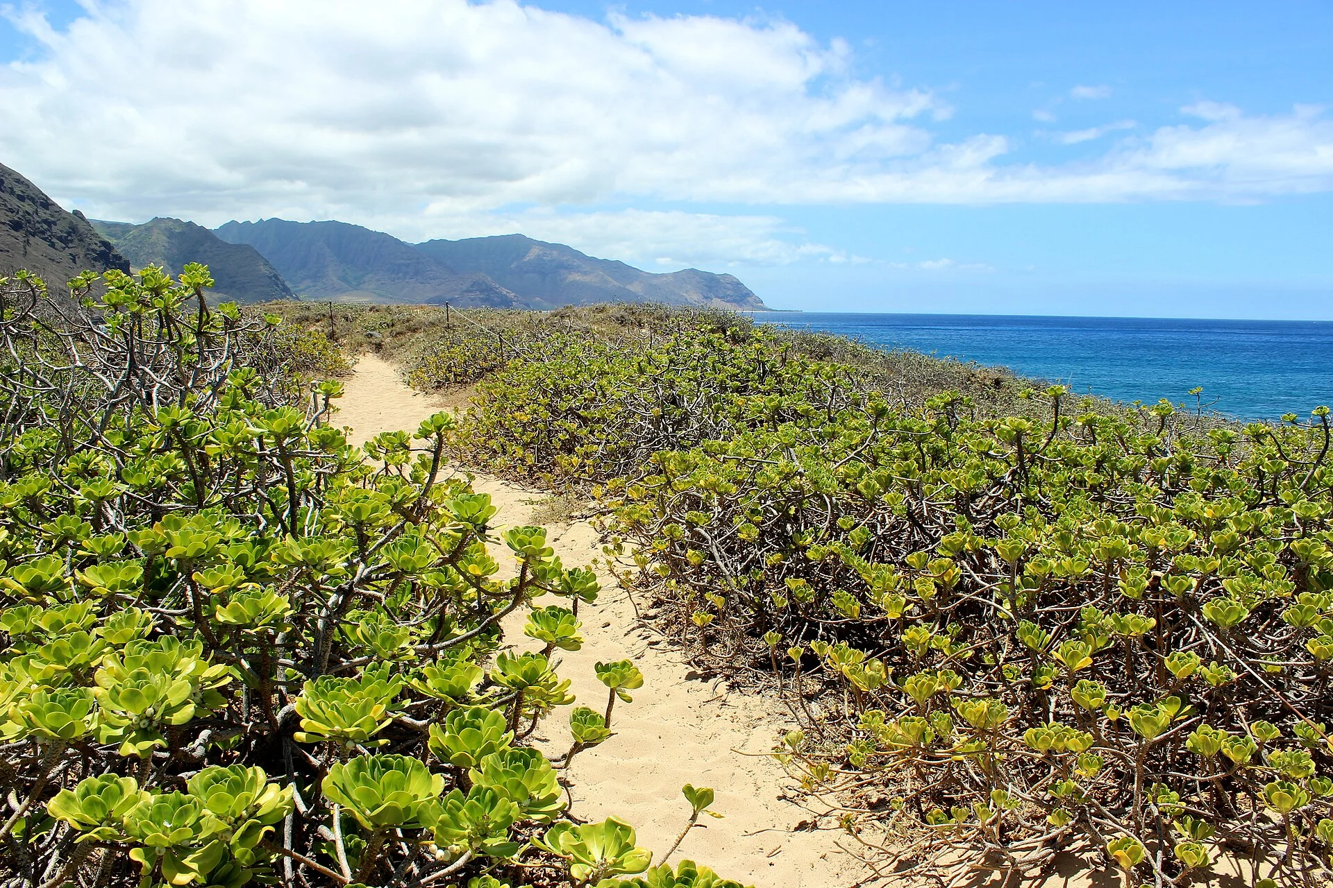 Kaʻena Point State Park