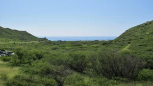 Kaiwi State Scenic Shoreline