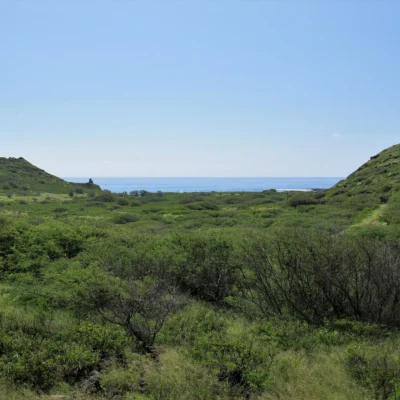 Kaiwi State Scenic Shoreline