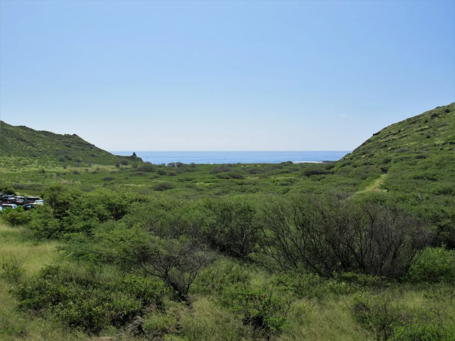 Kaiwi State Scenic Shoreline 14 Kaiwi State Scenic Shoreline (Hawaii)