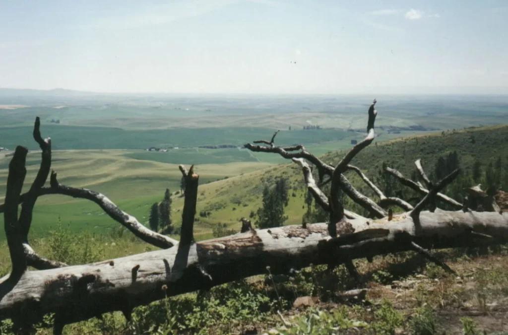 Kamiak Butte County Park 67 Kamiak Butte County Park (Washington)