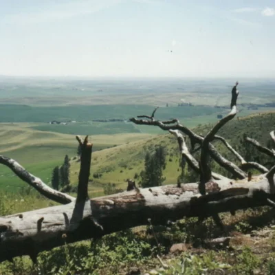 Kamiak Butte County Park