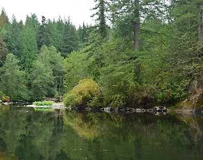 Kanaskat-Palmer State Park
