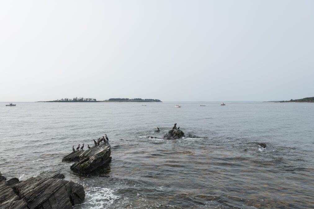 Rocky coastline and ocean view at Kettle Cove State Park, Cape Elizabeth, Maine