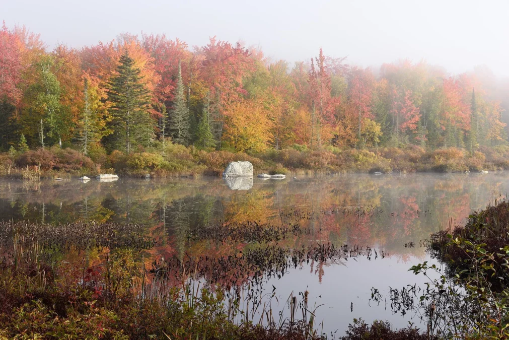 Kettle Pond State Park (Vermont)