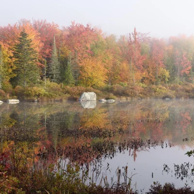 Kettle Pond State Park
