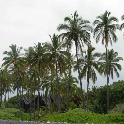 Kiholo State Park Reserve