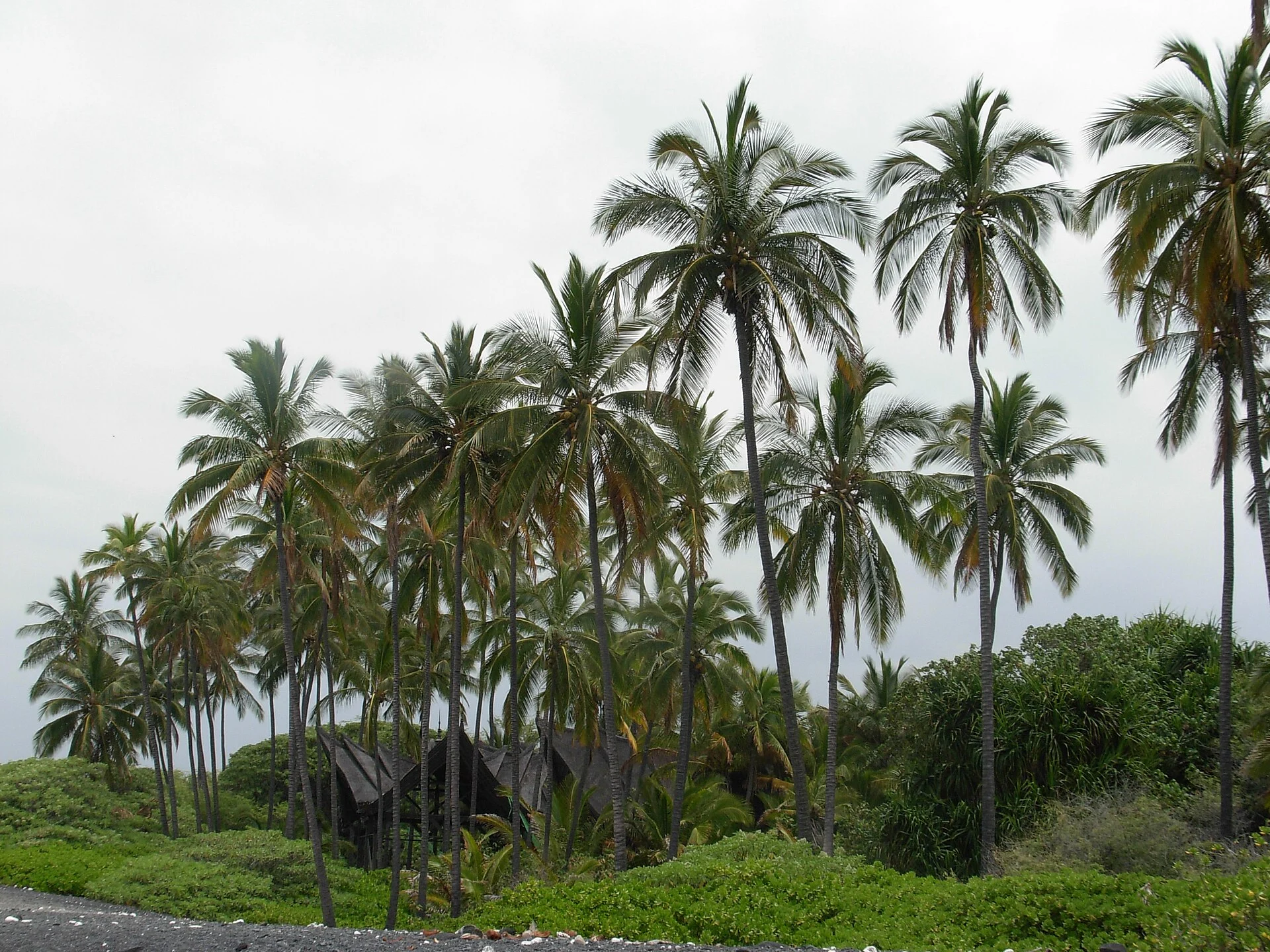 Kiholo State Park Reserve