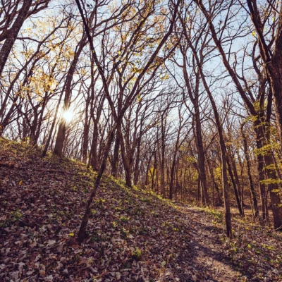 Kilen Woods State Park