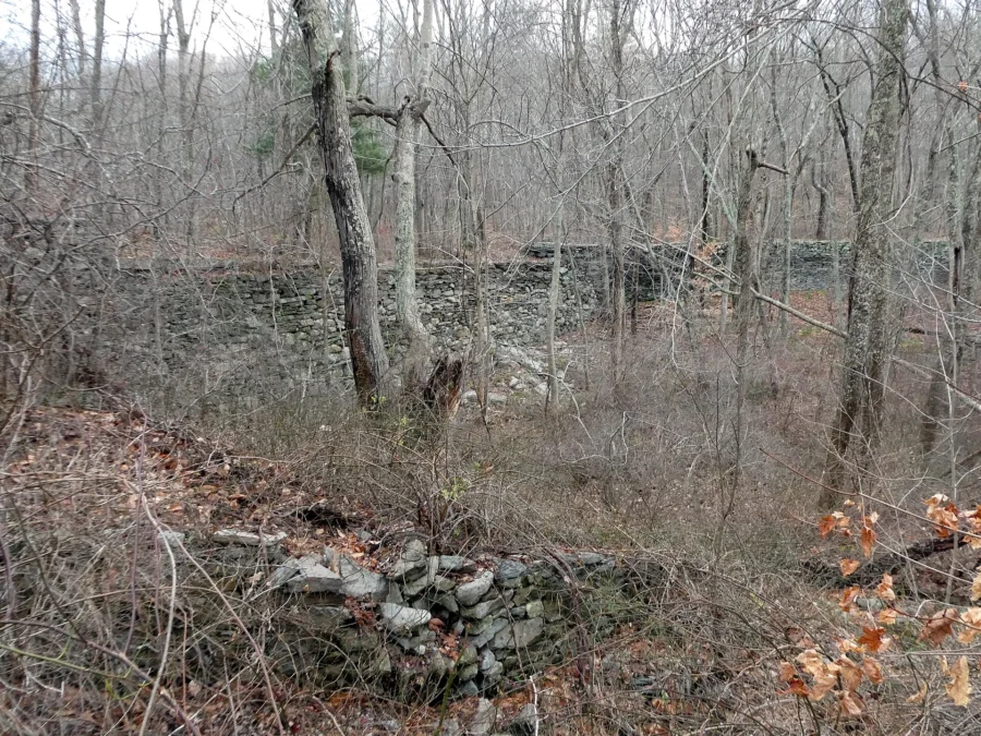 Killingly Pond State Park (Connecticut)