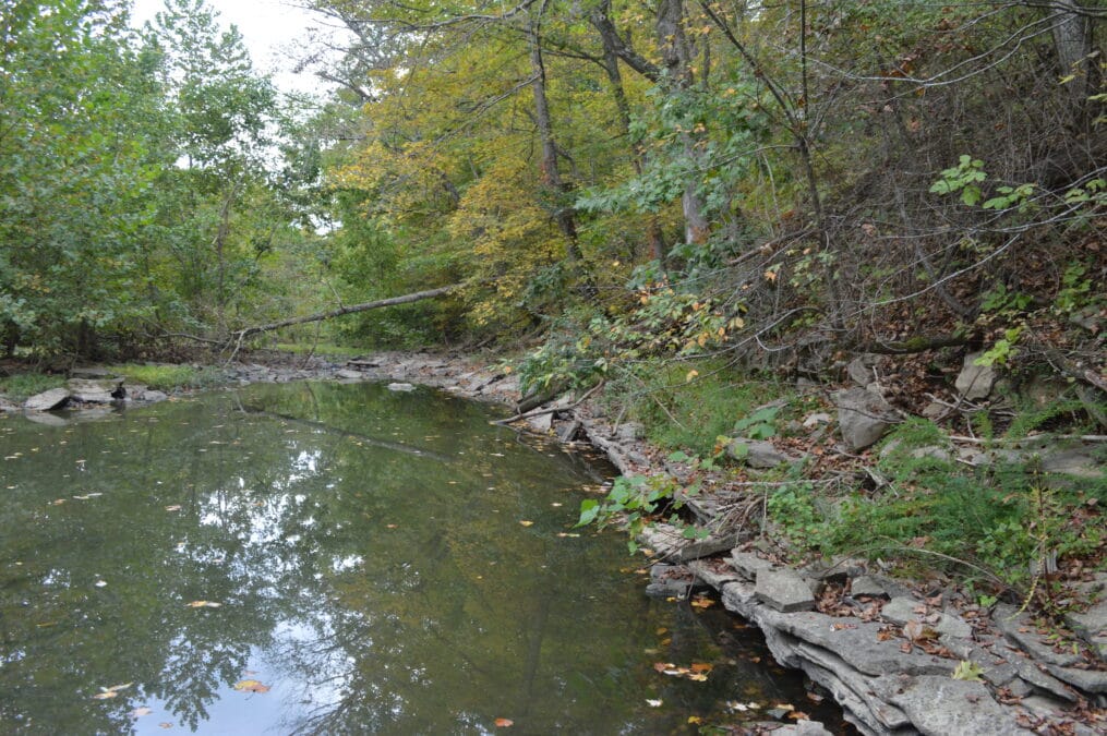 A wooded creek at Kincaid Lake State Park, Kentucky, with calm water reflecting the forest and early autumn color