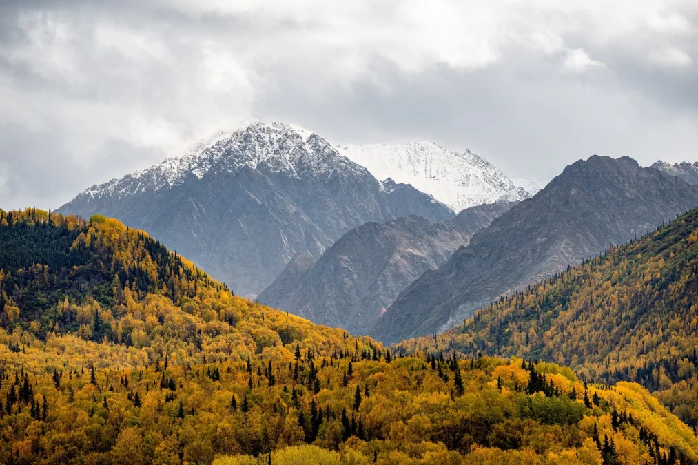 King Mountain State Recreation Site (Alaska)