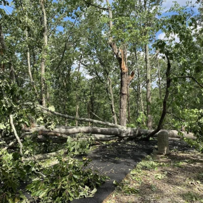 Kings Mountain State Park