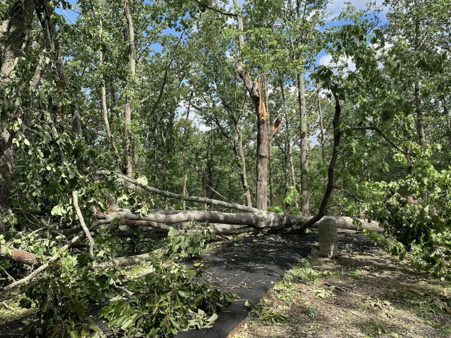 Kings Mountain State Park (South-Carolina)