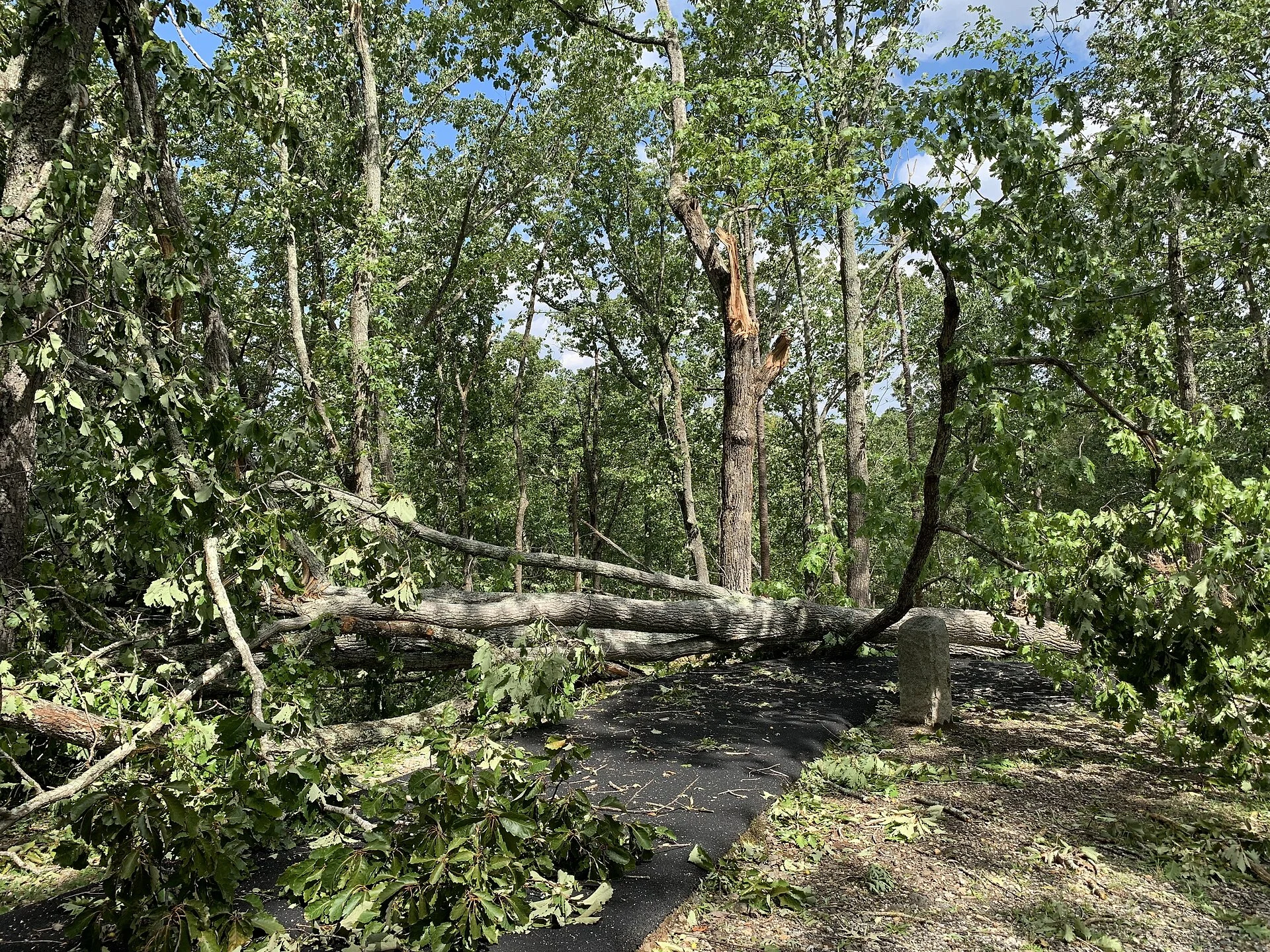 Kings Mountain State Park
